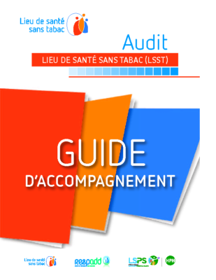 Guide accompagnement Audit LSST