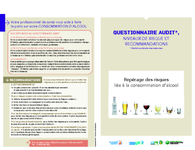 Questionnaire AUDIT