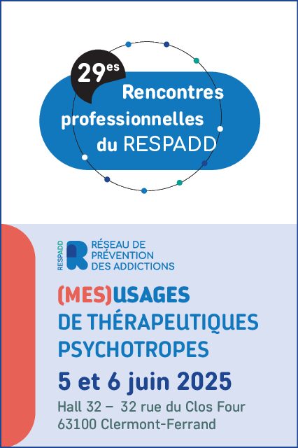 29es Rencontres Banniere display verticale 02 pdf