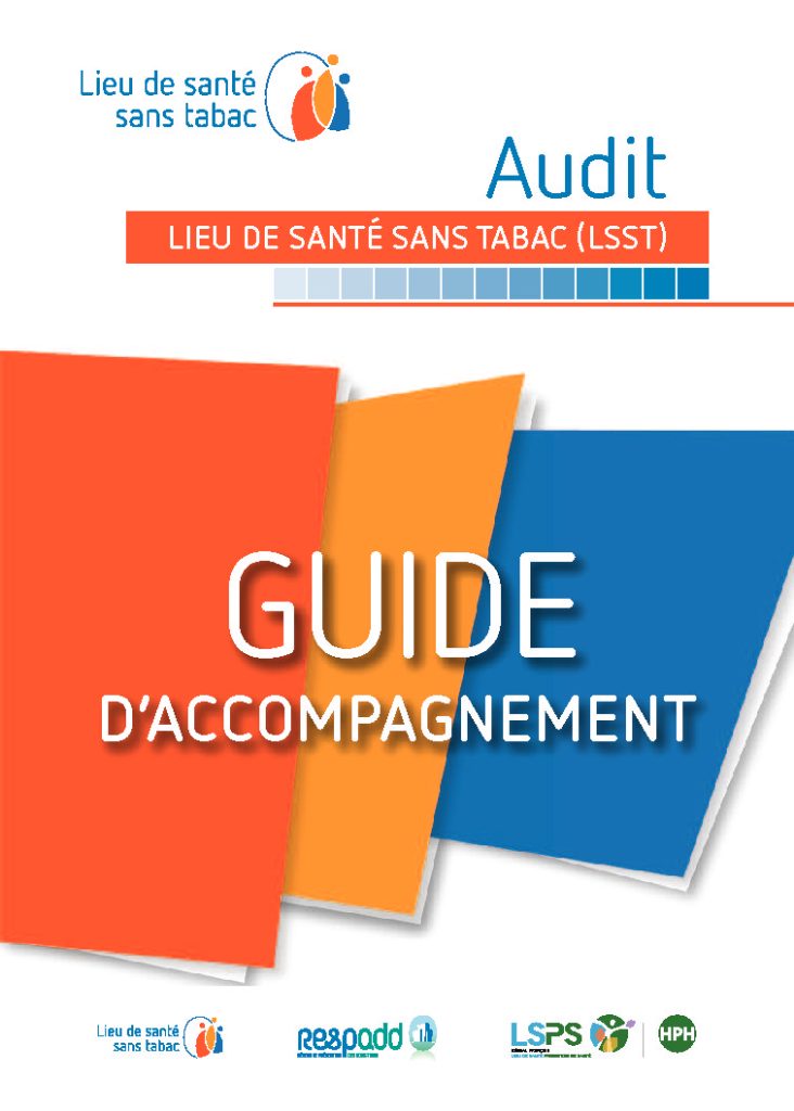 LSST Guide accompagnement audit pdf